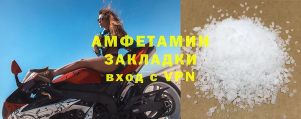 ГАЛЛЮЦИНОГЕННЫЕ ГРИБЫ Богданович