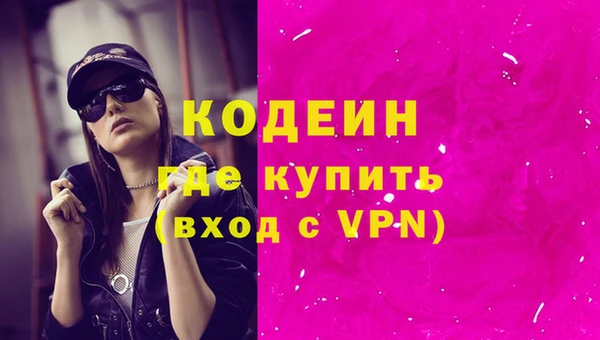 ГАЛЛЮЦИНОГЕННЫЕ ГРИБЫ Богданович