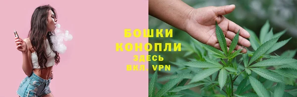 ГАЛЛЮЦИНОГЕННЫЕ ГРИБЫ Богданович