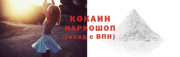 ГАЛЛЮЦИНОГЕННЫЕ ГРИБЫ Богданович