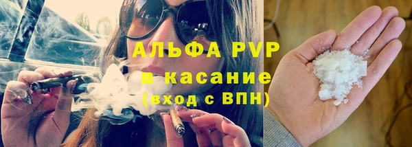 ГАЛЛЮЦИНОГЕННЫЕ ГРИБЫ Богданович